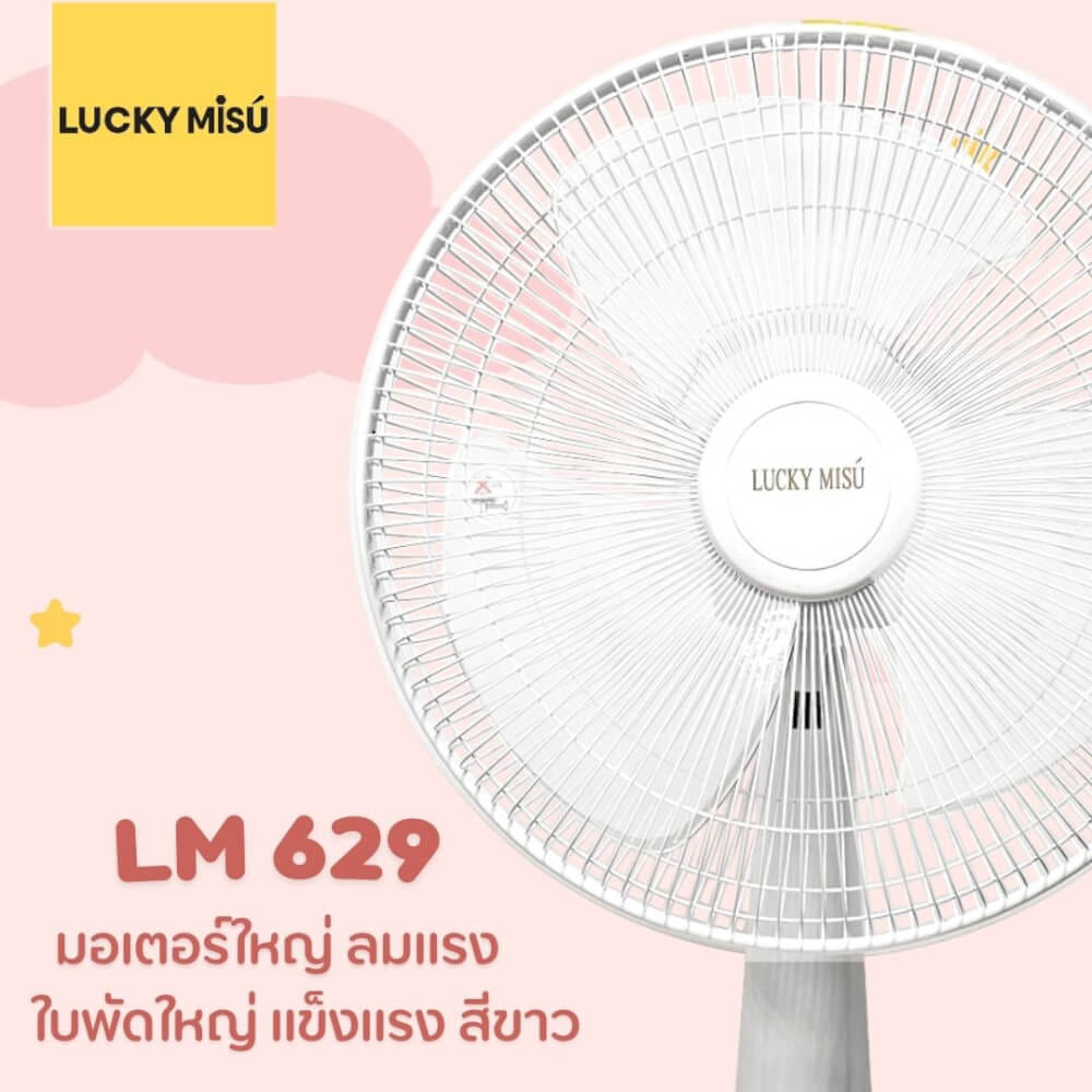 พัดลมตั้งโต๊ะ 16